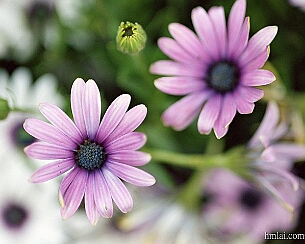20110320_0083
