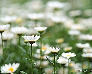 20110320_0109