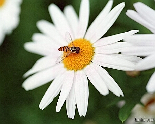 20110320_0121