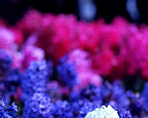 20120324_0033