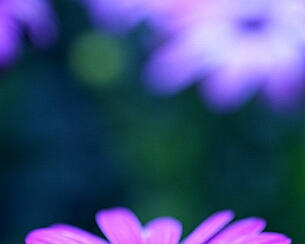 20120324_0036