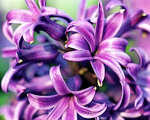 20120324_0050