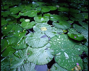 20060606_006