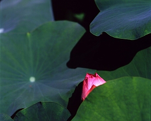 20070723_005