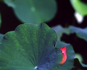 20070723_006
