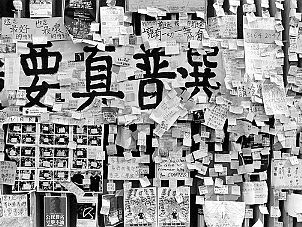 佔領中環．雨傘運動II