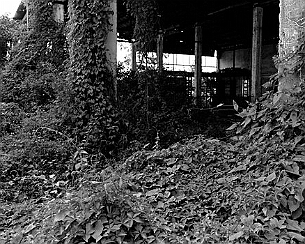 20111031_0024