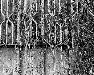20111031_0026