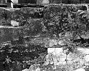 20111031_0052
