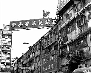 137900448.AOqc6a8o.20100509_0018