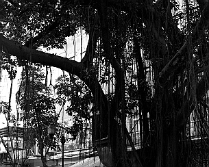 137900451.Mpdddm4s.20100509_0024