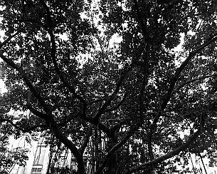 137900453.FbWtRvQu.20100509_0026