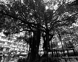 137900454.OsawLA5J.20100509_0028