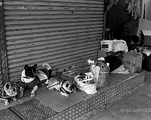 137900459.fPUdNvTm.20100509_0034