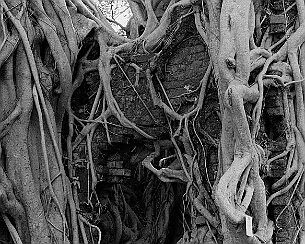 20200816_0013