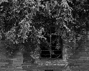 20200816_0016
