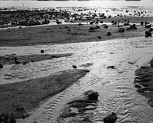 20200816_0019