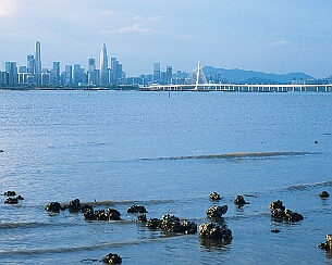 20200816_0028