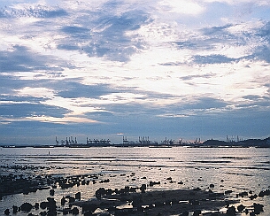 20200816_0034