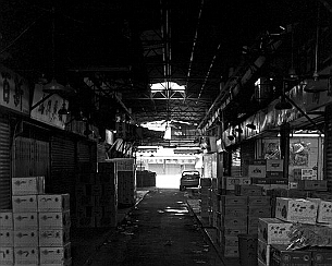 104016098.p4BqWqpN.20081001_0017