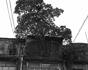 104016104.2rYc2L6c.20081001_0031