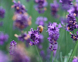 20120723_0008