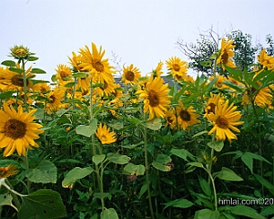 20120723_0017