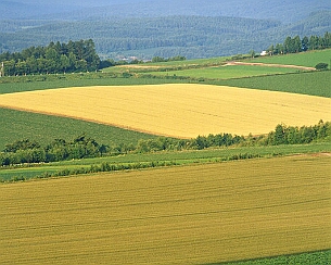 20120723_0058