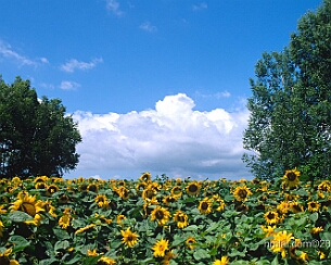20120723_0084
