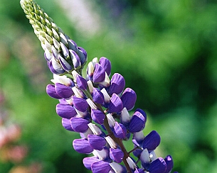 20120723_0108