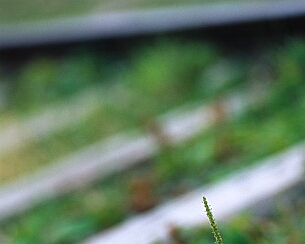 20120723_0398