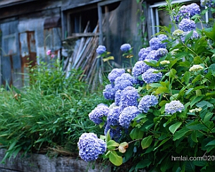 20120723_0409