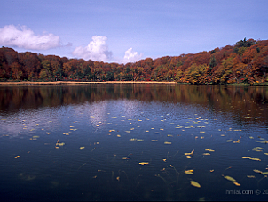 八幡平大沼