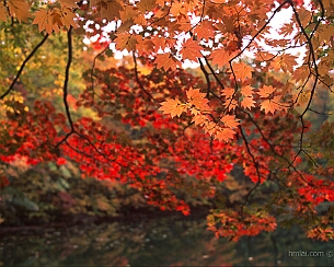 20191030_296