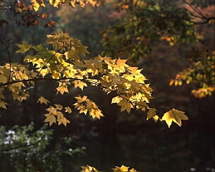 20191030_318