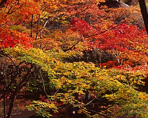 20151124_0434