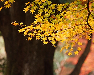 20151124_0496