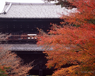 20151124_0133