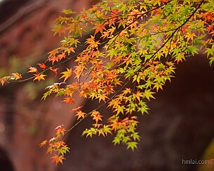 20151124_0171