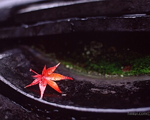 20151124_0332