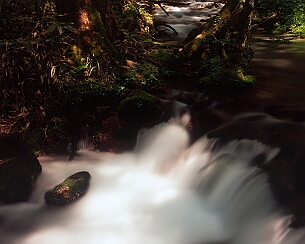 20170629_0095