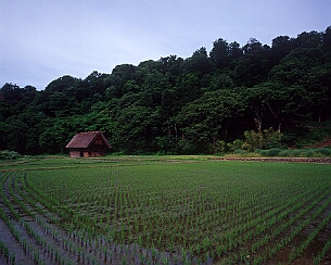 20170629_0012