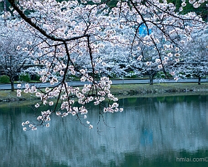 20240405_0056