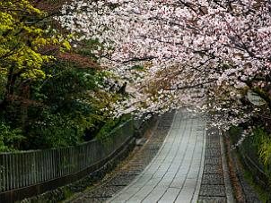 向日神社 Mukoujinja