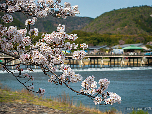 嵐山 Arashiyama