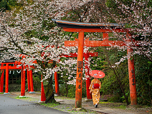 竹中稲荷神社 Takenaka Inari Jinja