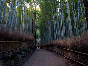 京都．嵐山