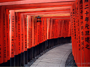 京都．伏見稻荷