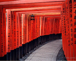 20150205_0033