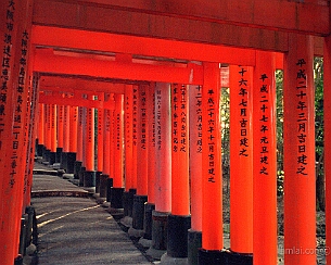 20150205_0036